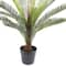 2ft. Premade Potted Sago Palm Plant by Ashland®